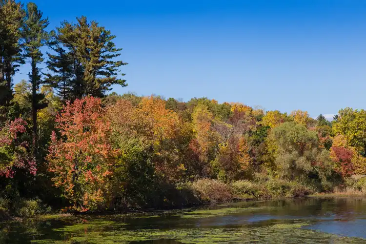 Các khách sạn ở Gravenhurst