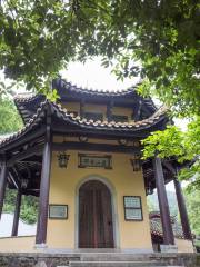 Lushan Temple Stele