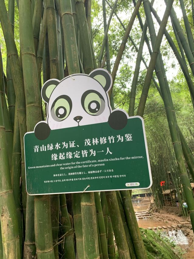 Bamboo Canyon Scenic Area (Jinji Valley)