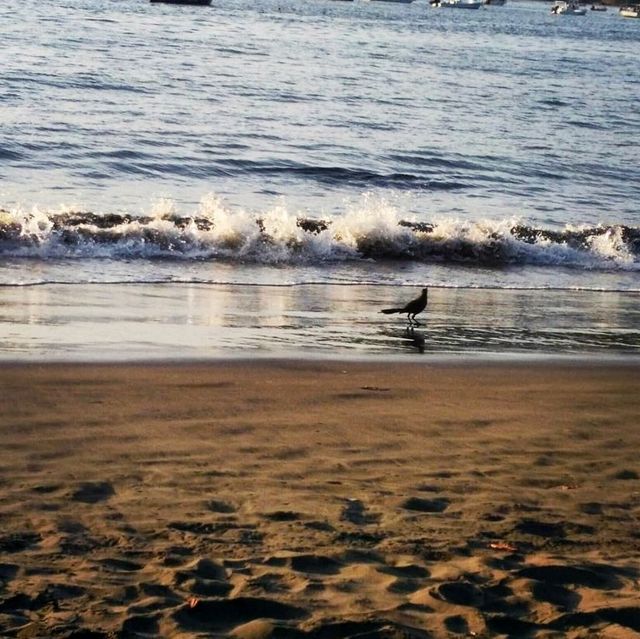 Wonders of Playas del Coco - Coco Beach