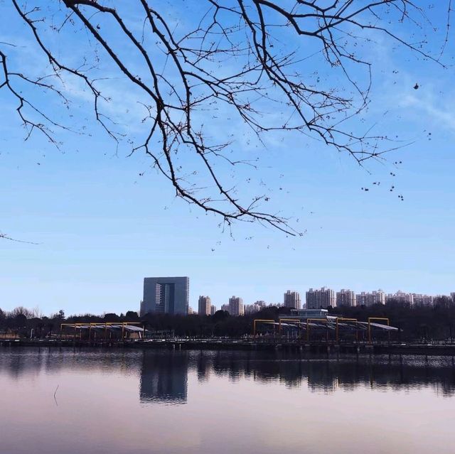 A bit of serenity...