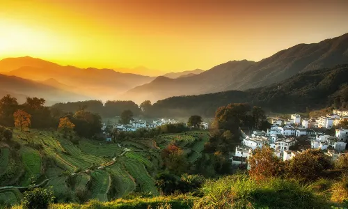 Terraced Fields Viewing in Wuyuan