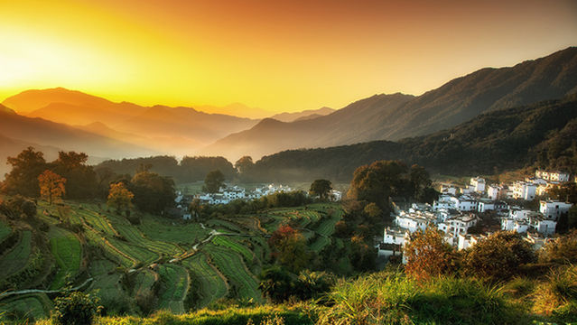 Terraced Fields Viewing in Wuyuan