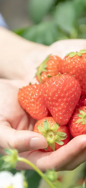 相模原のホテル