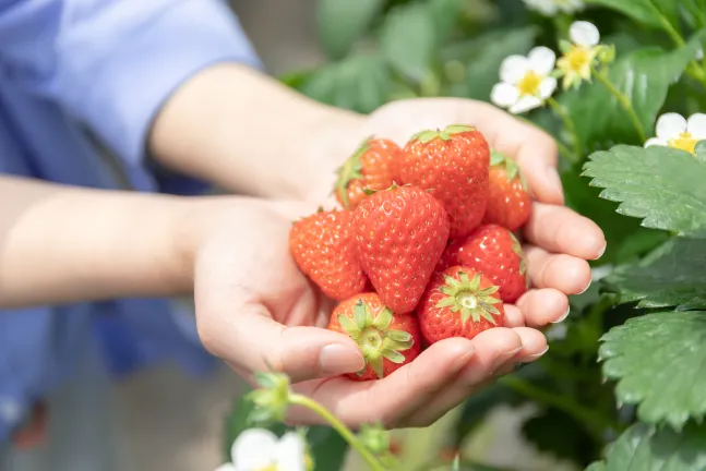 Отели рядом с достопримечательностью «Sagamihara City Museum»