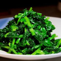 Moose (Pudong) User Photo