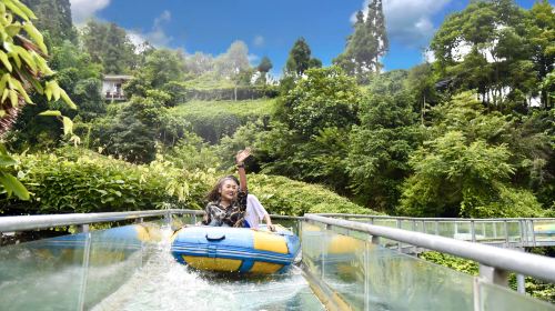 Gaozhou Xianren Cave Scenic Area