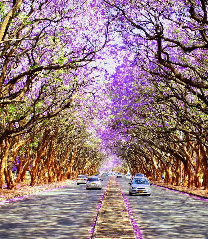 Harare