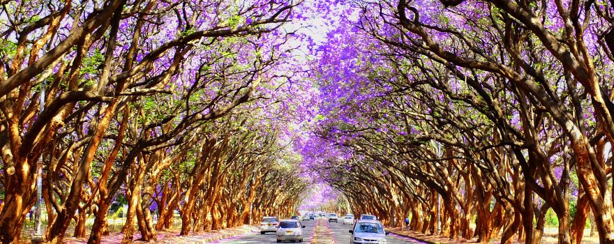 Harare