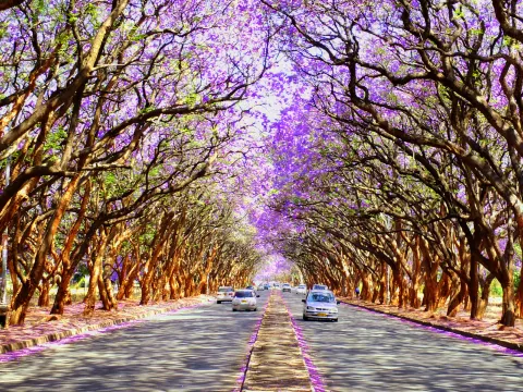 Harare