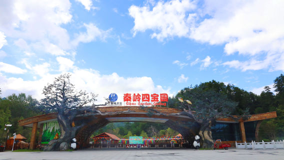 Qinling Four Treasures Garden