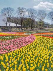 岐阜県百年公園