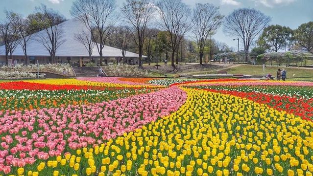 Gifuken Hyakunen Park