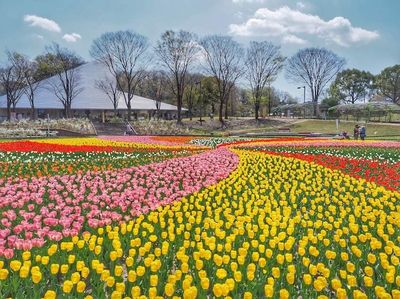 Gifuken Hyakunen Park