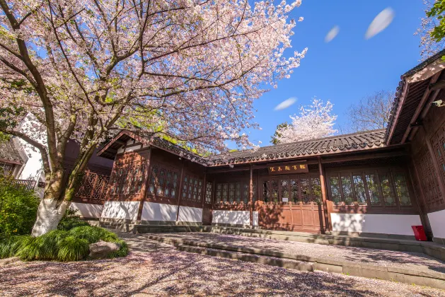 Отзывы об отеле Yinyue Hotel (Xihu Hefang Street)