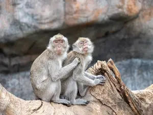 YouBike Hsinchu Zoo