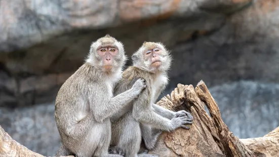 YouBike 新竹動物園