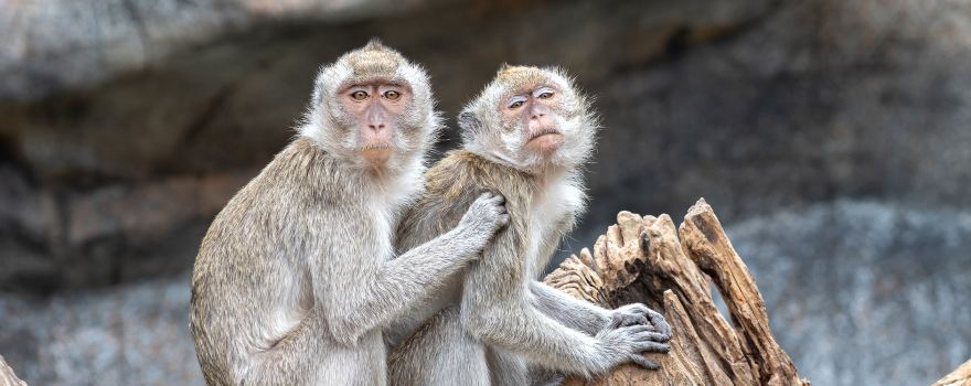YouBike Hsinchu Zoo