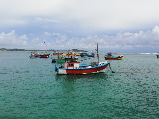 帆船出海