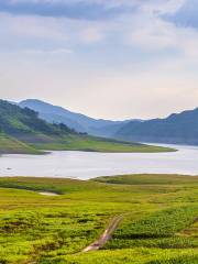 Yalu River Wetland Reserve