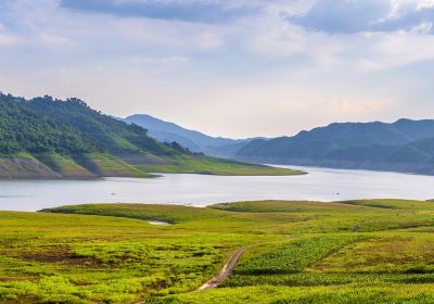 Yalu River Wetland Reserve