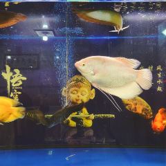香满园川菜馆(环湖西路店) User Photo