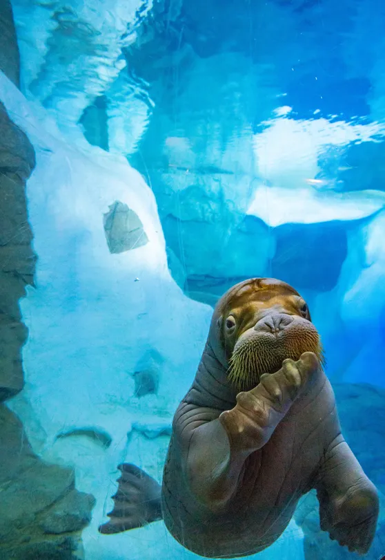 2_SeaWorld Orlando