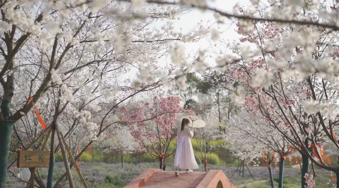 Hotel in zona Yueyang Cherry Blossom Garden