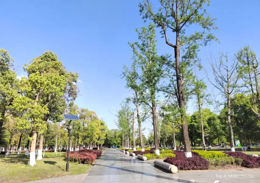สวนสาธารณะกลางไชยเจีย