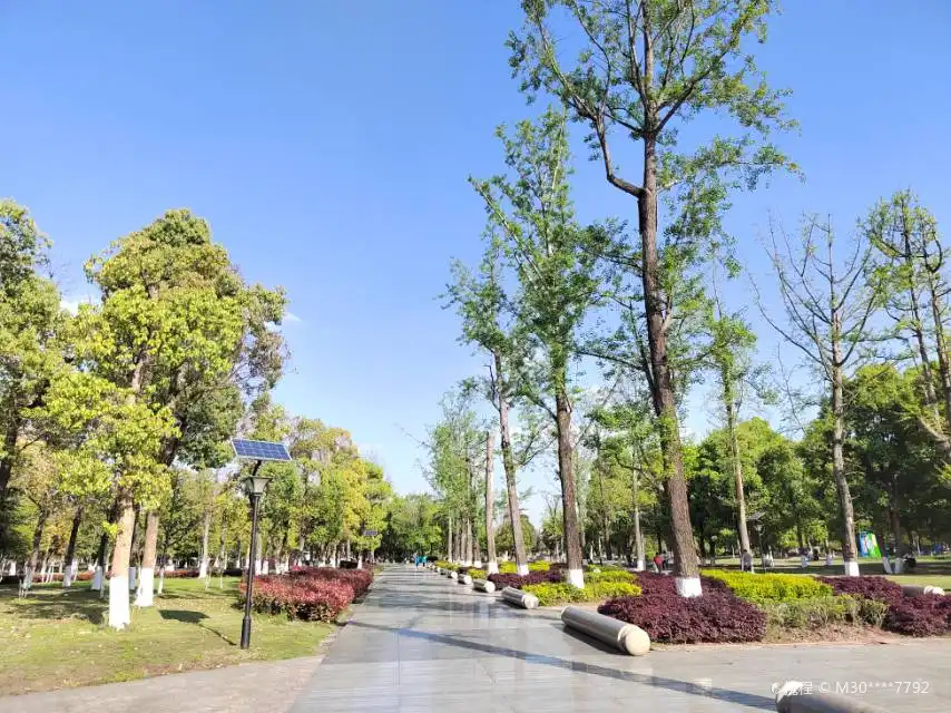 Hotels near Zhongyang Forest Park