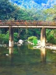 花魚洞国家森林公園