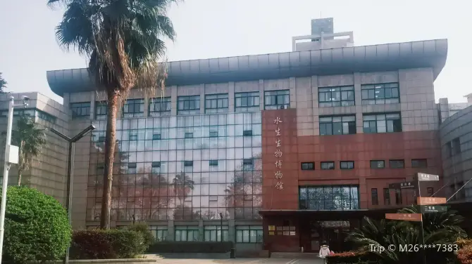 Aquatic Organisms Museum