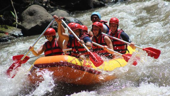 Lawatan Peribadi Kintamani dengan Pengalaman Berakit Sungai Ayung