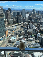 梅田スカイビル 空中庭園展望台