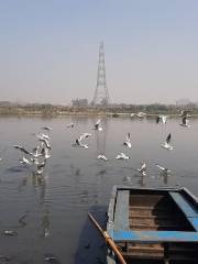 Yamuna River