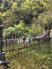 終南山寨峽谷運動樂園