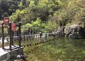 終南山寨峽谷運動樂園