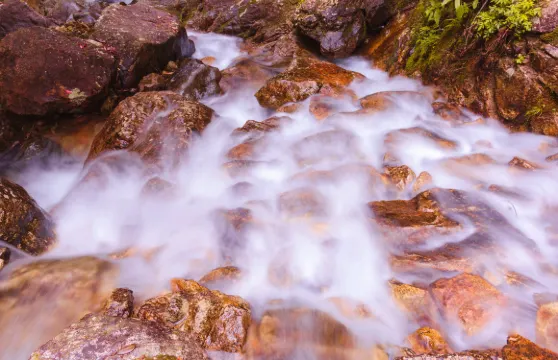 箬寮原始林門票成人