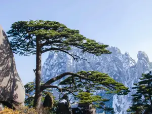 영객송(잉커쑹)