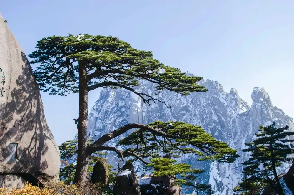 영객송(잉커쑹) 주변 호텔