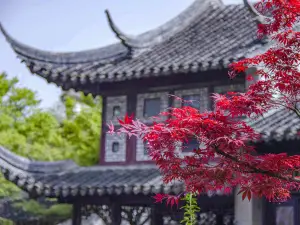 Lingering Garden(Liuyuan Garden)