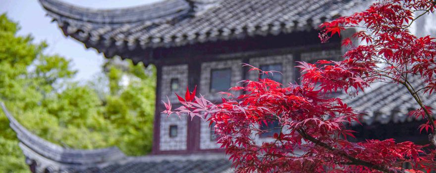 留園
