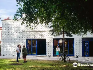 Kino Usmev