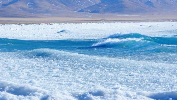 na mu cuo jing qu - cuo mu qi