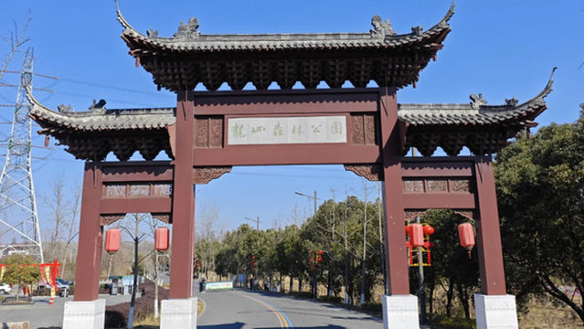 Longshan Forest Park