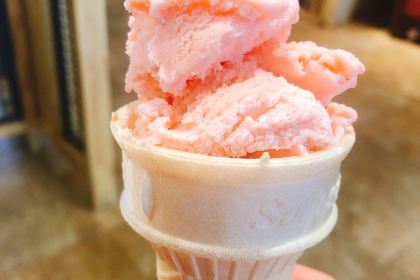 大朴家烤肉(公新店)