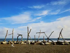 Hokitika Beach Sign