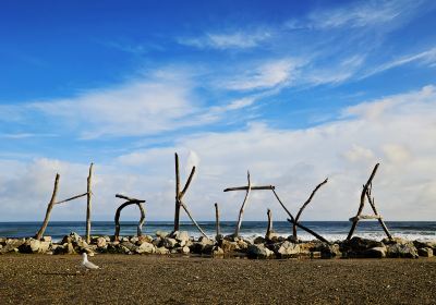 Hokitika Beach Sign