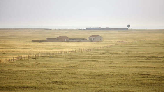 Ordos Prairie