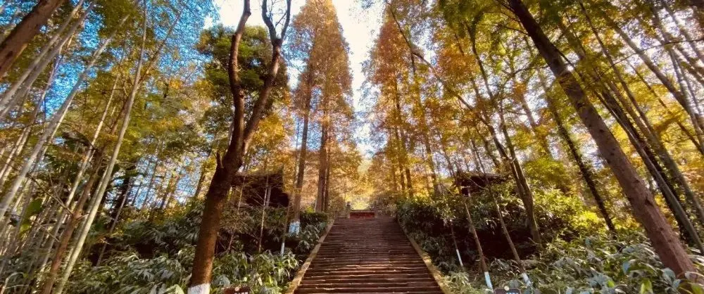 Fall Viewing Attractions